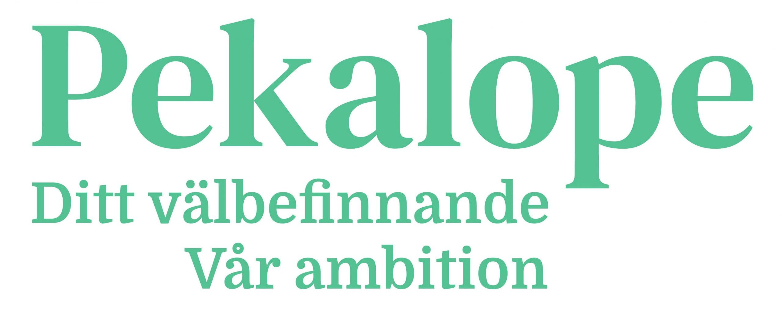 Åter till startsidan